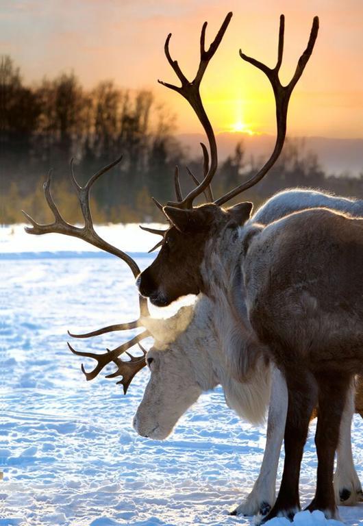 Hotell Funaesdalen Bagian luar foto